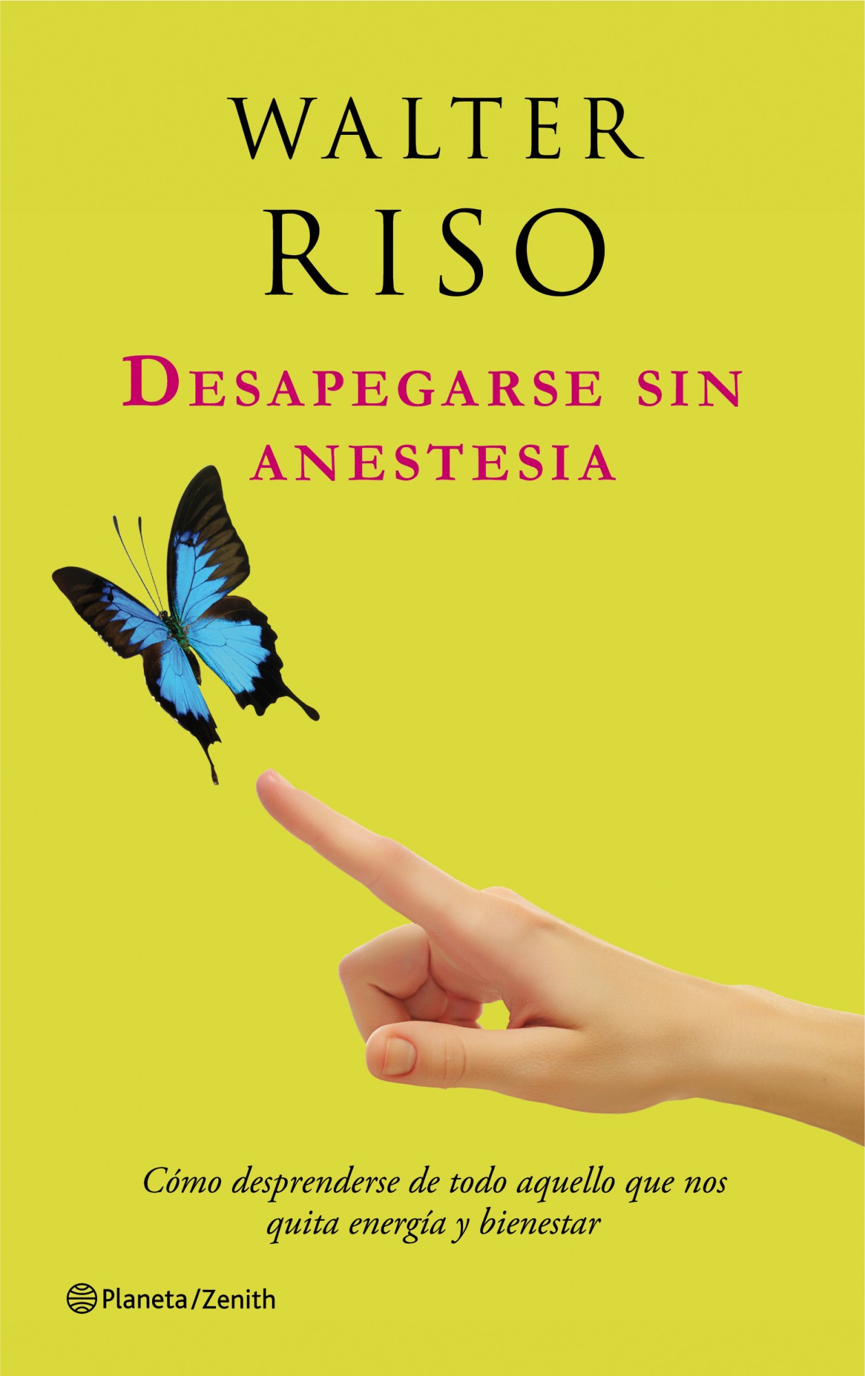 Descargar DESAPEGARSE SIN ANESTESIA