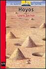 Descargar HOYOS